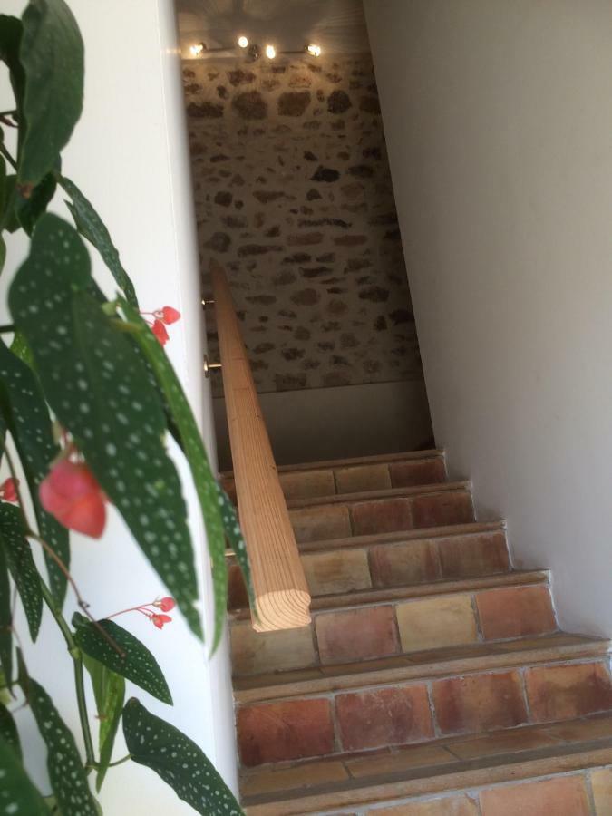 Domaine De Camp Joyeux Apartment Puget-Ville Luaran gambar